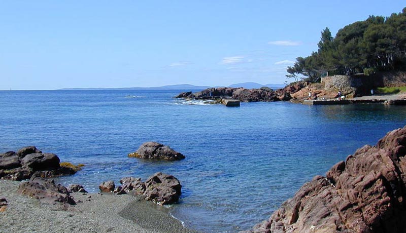 A beach near my home